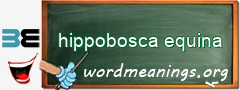 WordMeaning blackboard for hippobosca equina